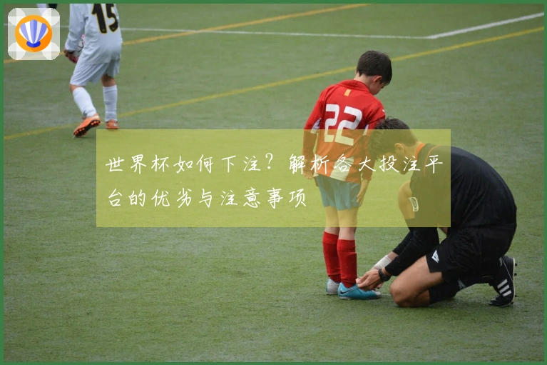 世界杯如何下注？解析各大投注平台的优劣与注意事项