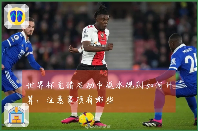 世界杯竞猜活动中返水规则如何计算，注意事项有哪些