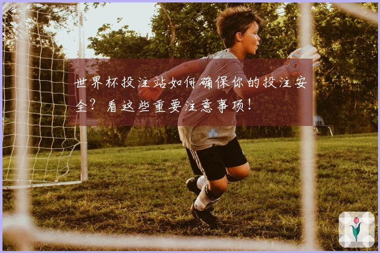 世界杯投注站如何确保你的投注安全？看这些重要注意事项！