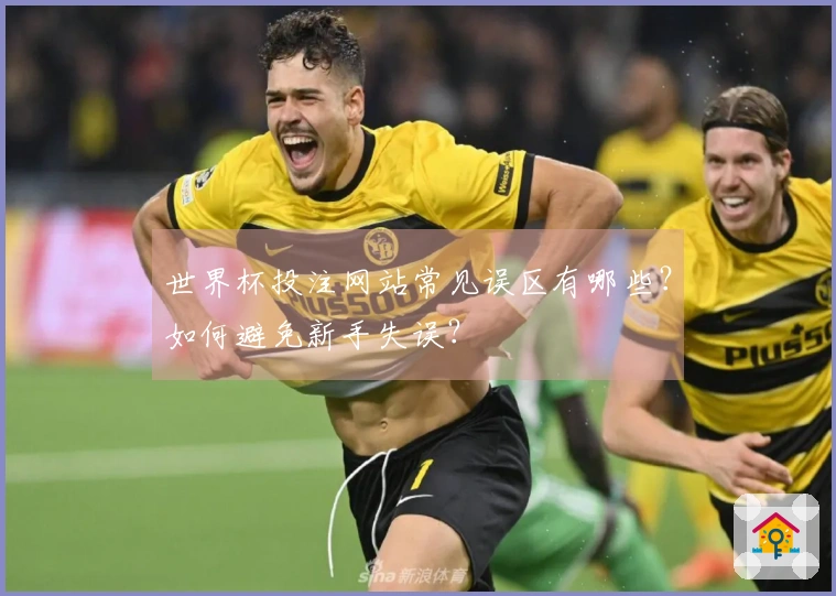 世界杯投注网站常见误区有哪些？如何避免新手失误？